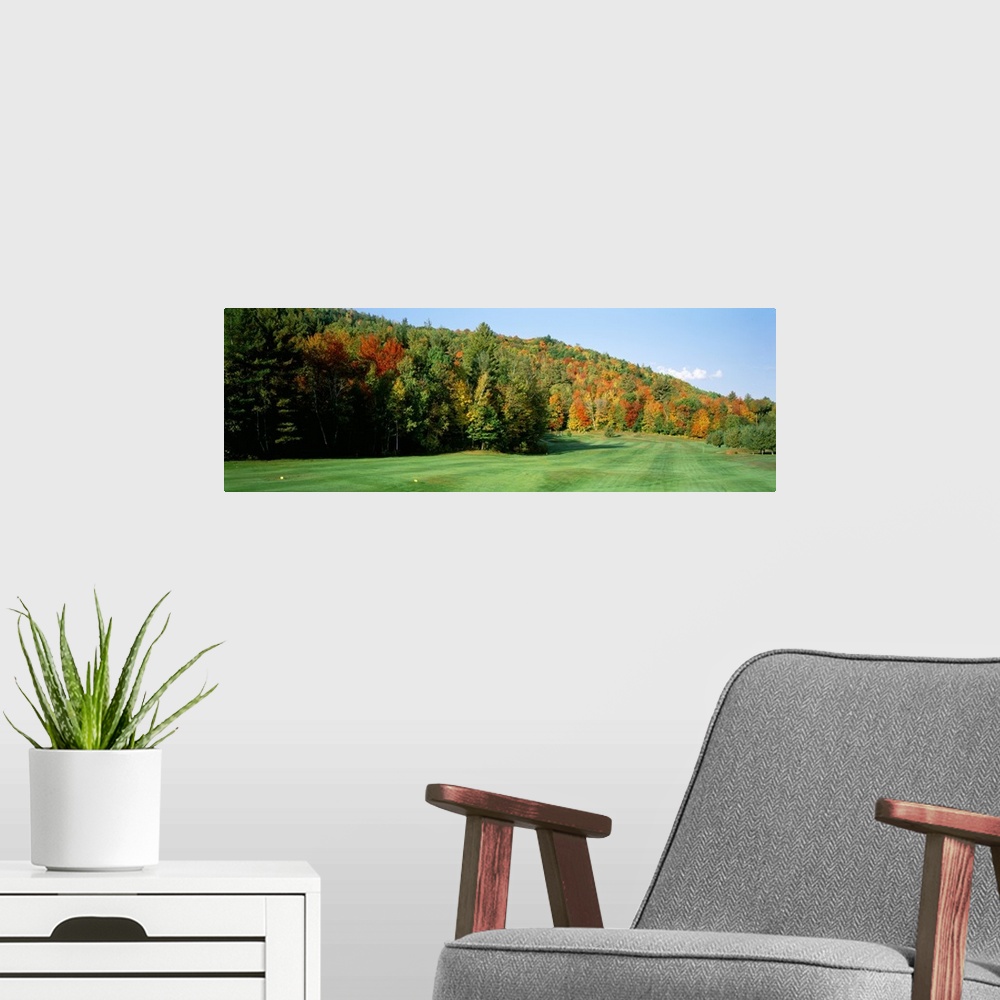 A modern room featuring Trees on a landscape, Jackson, New Hampshire, New England