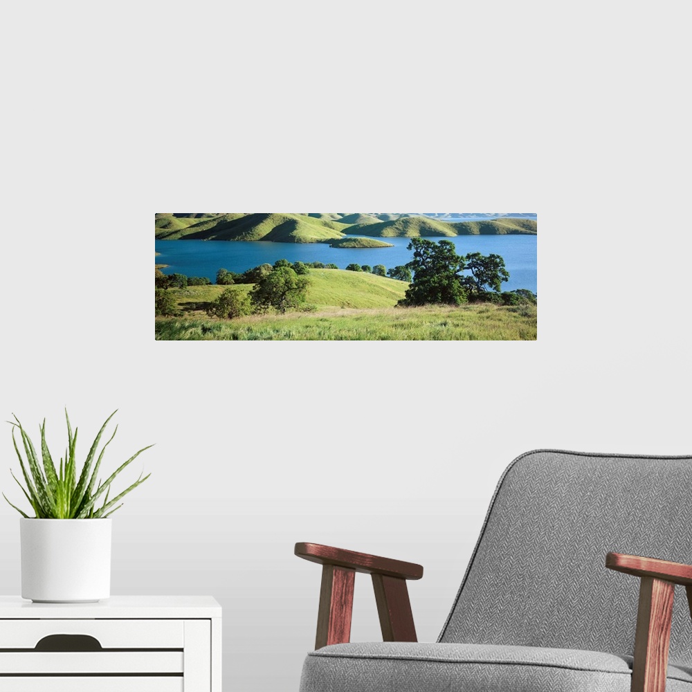 A modern room featuring Trees on the banks of a river, San Luis Reservoir, Dinosaur Point Area, Merced County, California