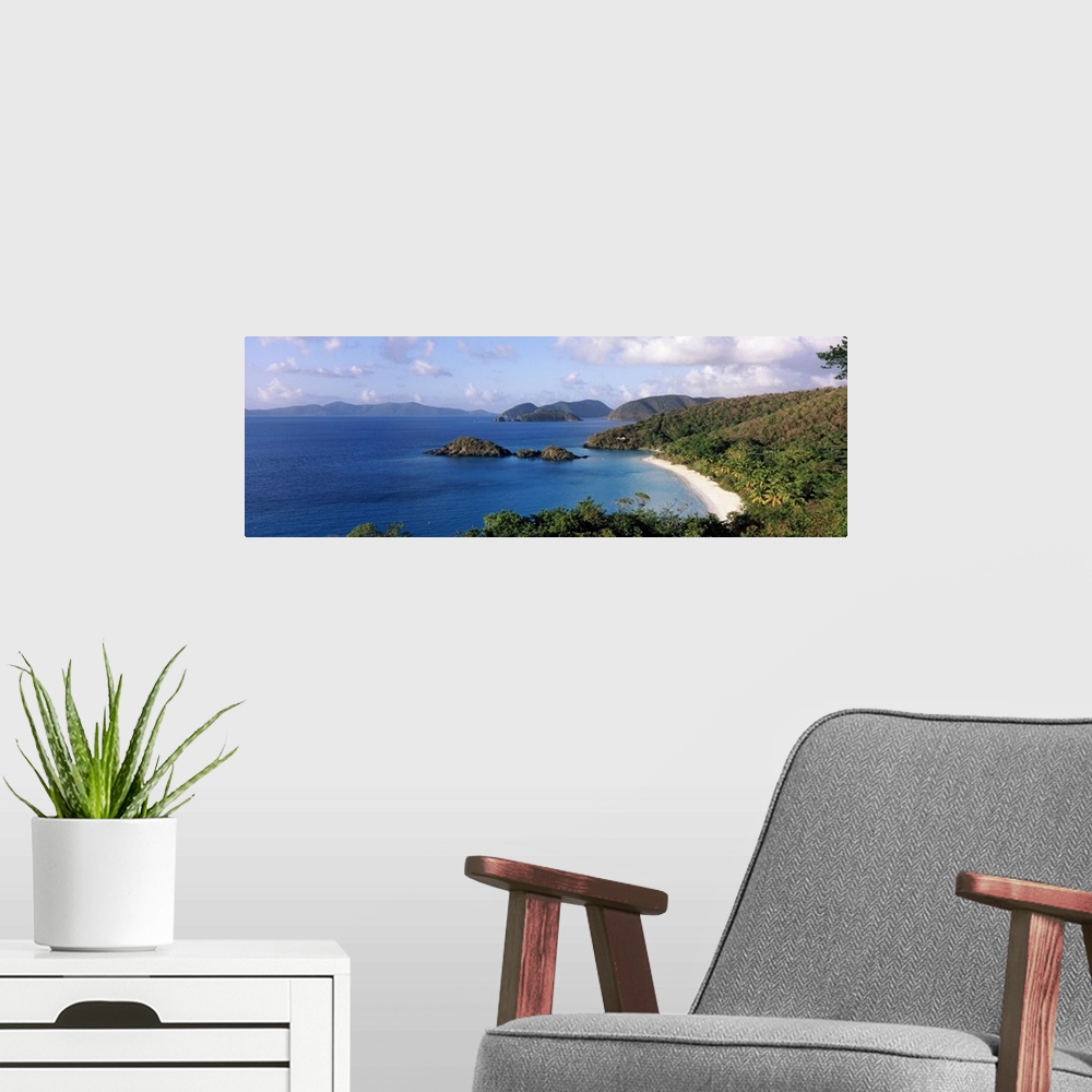 A modern room featuring Trees on the coast, Trunk Bay, Virgin Islands National Park, St. John, US Virgin Islands