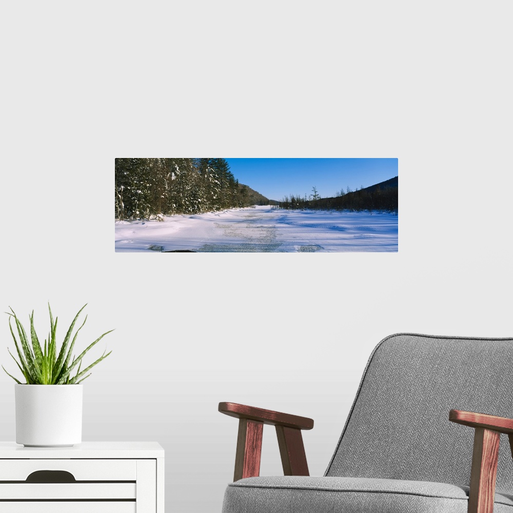 A modern room featuring Tress along a frozen lake, Piseco Lake, Oxbow Lake, Adirondack Mountains, New York State