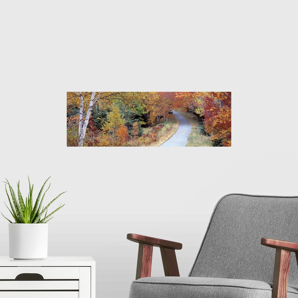 A modern room featuring Walking Path Acadia National Park ME