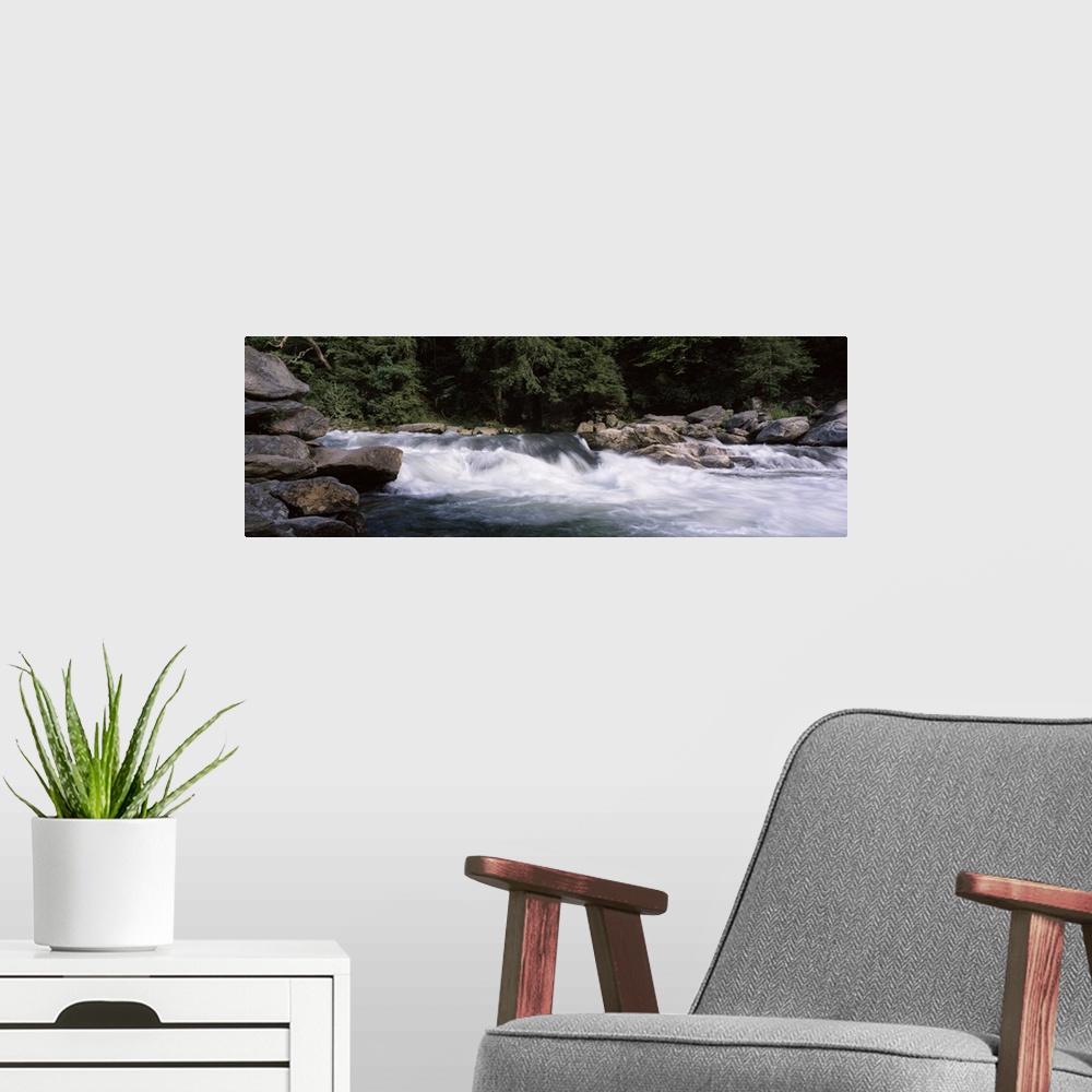 A modern room featuring Water flowing through rocks, Bull Sluice, Chattooga River, South Carolina and Georgia
