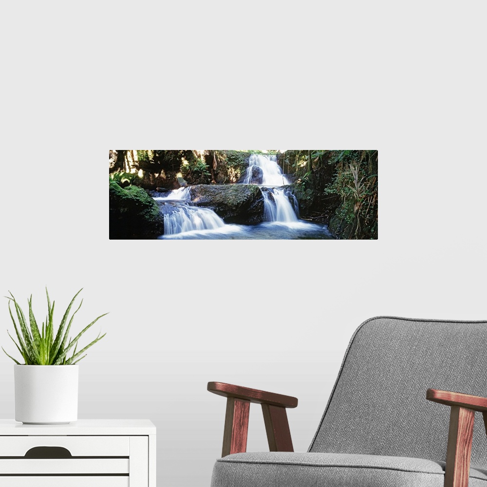 A modern room featuring Panoramic photograph of several small waterfalls surrounded by rocky terrain and a lush, green fo...