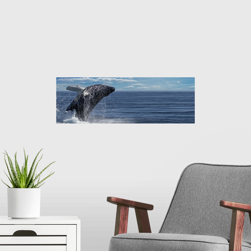 A modern room featuring Whale breaching