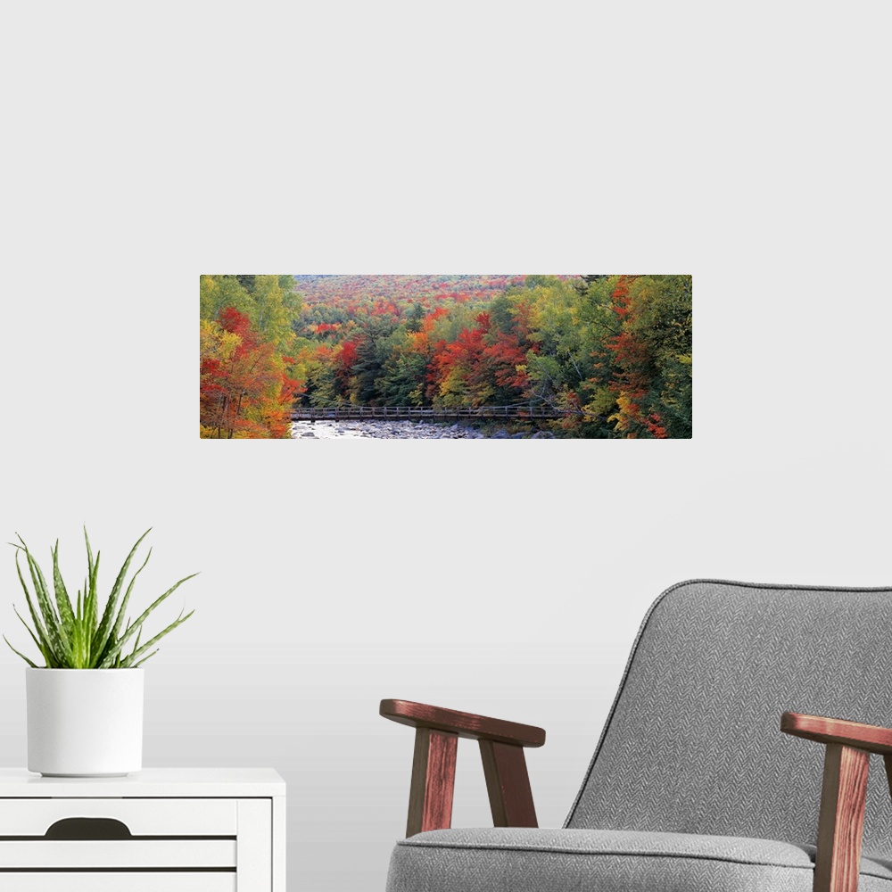 A modern room featuring A suspension foot bridge passes over a boulder filled river in this panoramic photograph wall art.