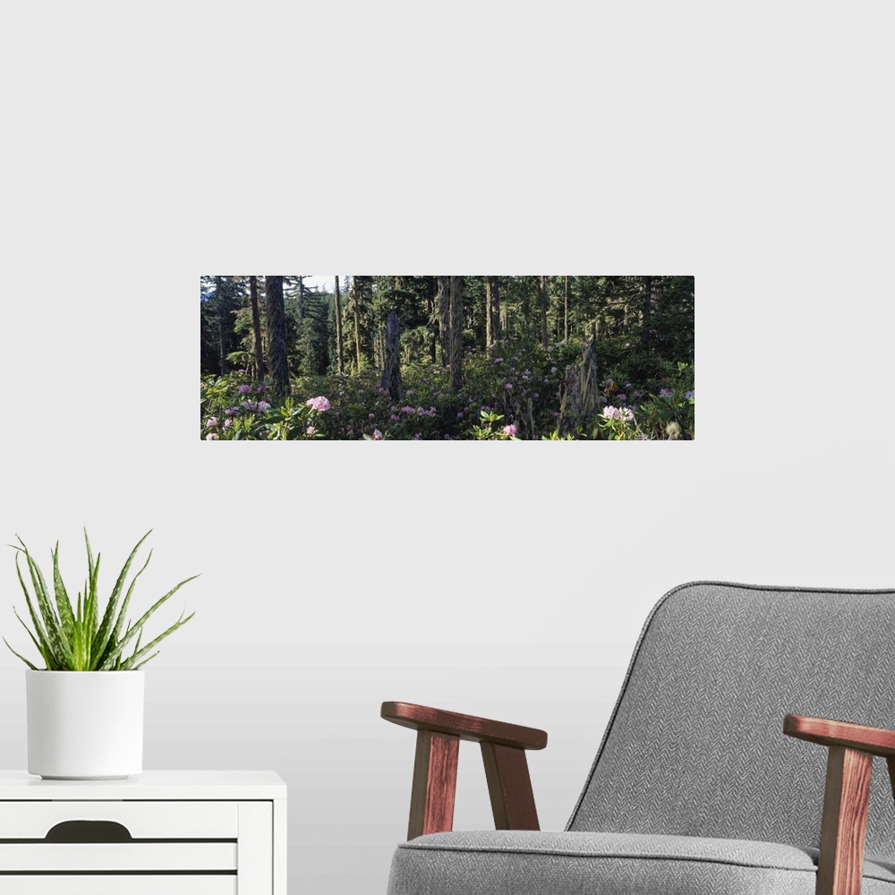 A modern room featuring Wild Rhododendrons Mount Hood National Forest OR