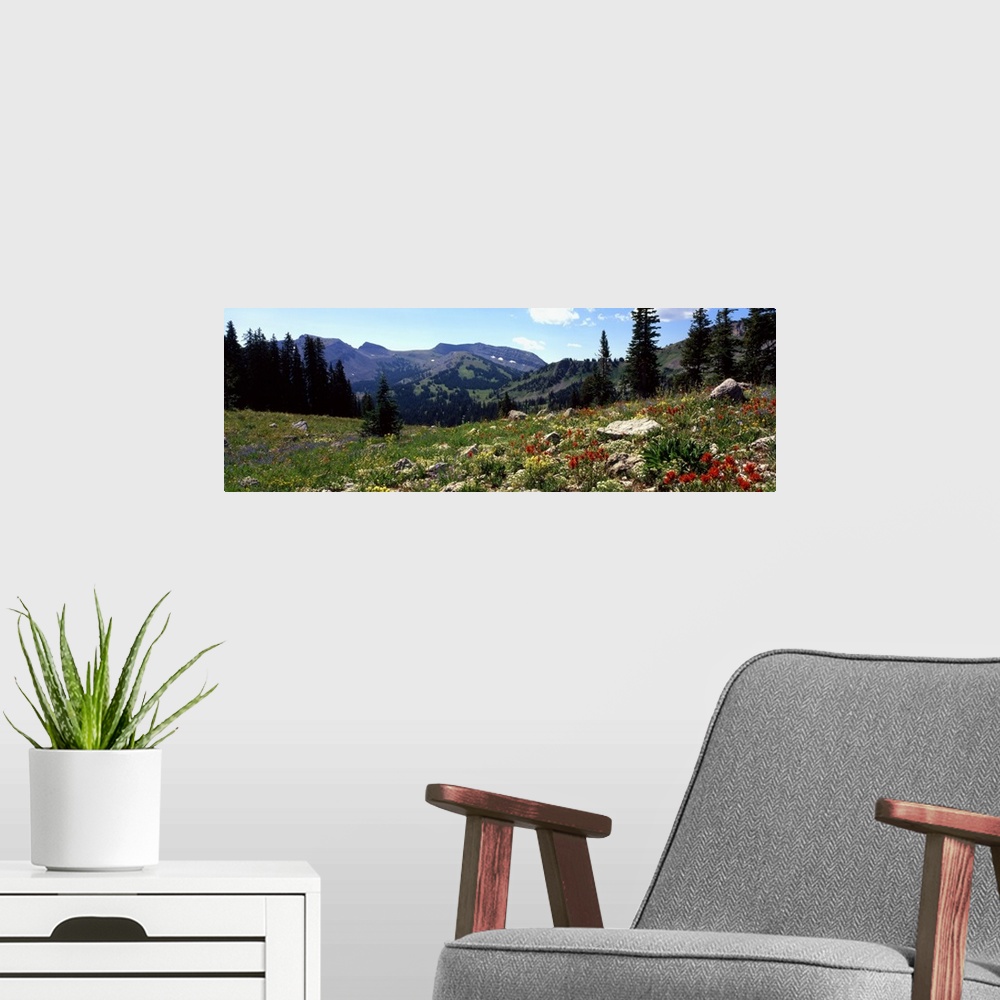 A modern room featuring Horizontal canvas photo art of a field of flowers with rugged mountains in the distance.