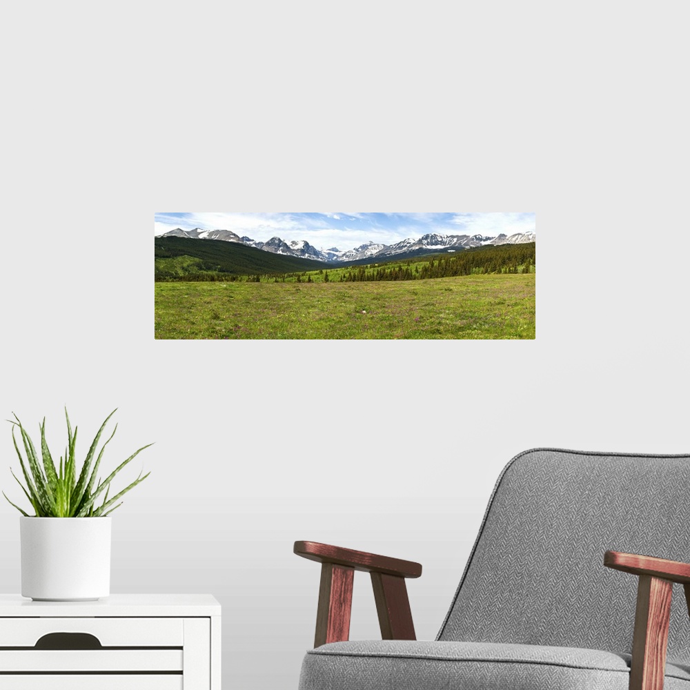 A modern room featuring Wildflowers in a field with mountain range, Glacier National Park, Montana