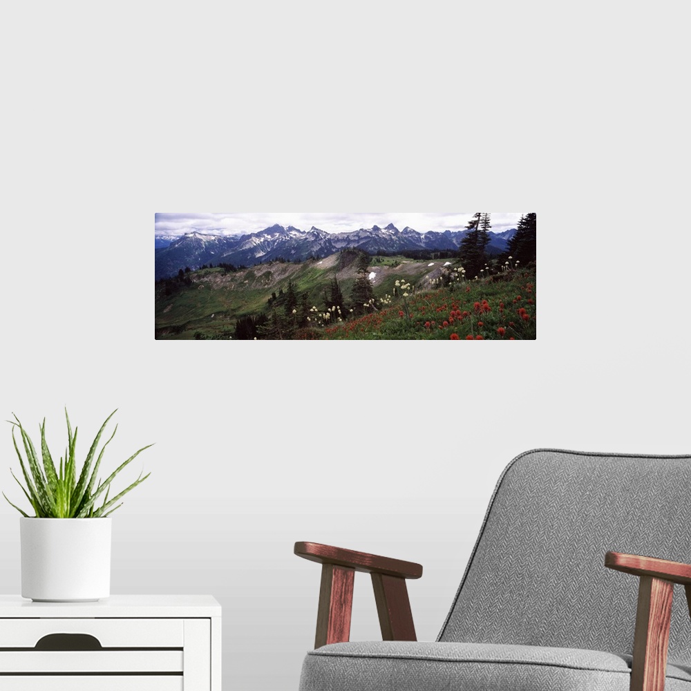 A modern room featuring Wildflowers on mountains, Mt Rainier, Pierce County, Washington State,