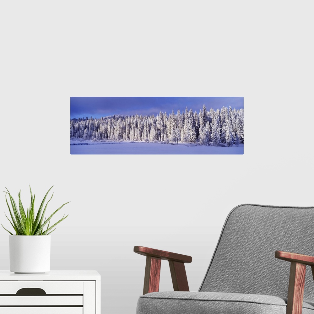 A modern room featuring Winter Wawona Meadow Yosemite National Park CA