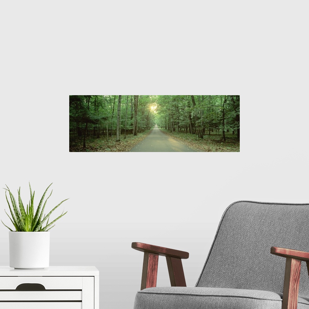 A modern room featuring Wisconsin, Door County, Road running through a forest