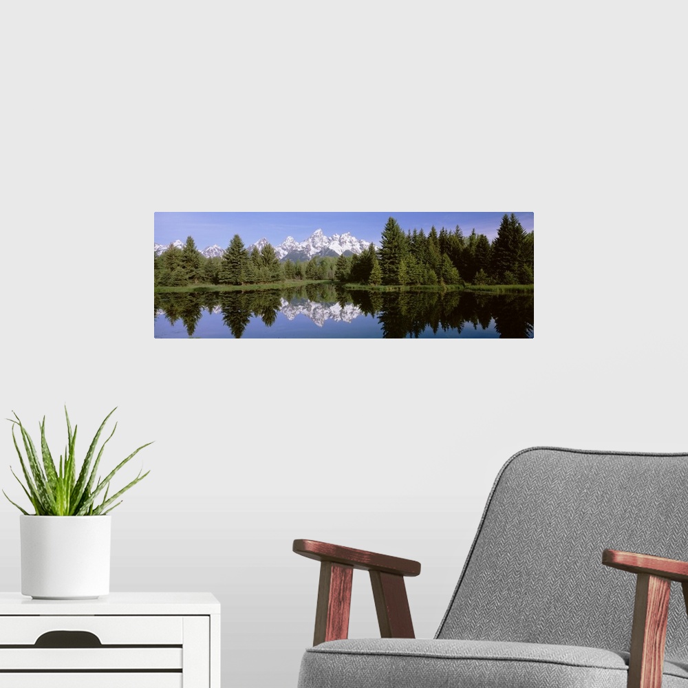 A modern room featuring Wyoming, Grand Teton National Park, Trees along the Snake River