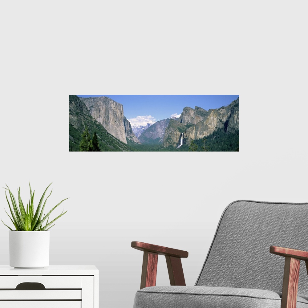 A modern room featuring Panoramic photograph on a big canvas of tree tops beneath a mountain landscape against a light bl...