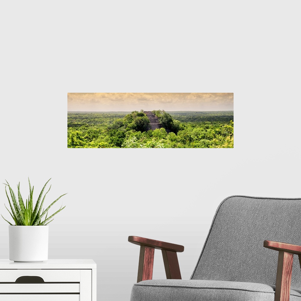 A modern room featuring Panoramic photograph of Calakmul archaeological site that is deep in the jungle in Campeche, Mexi...
