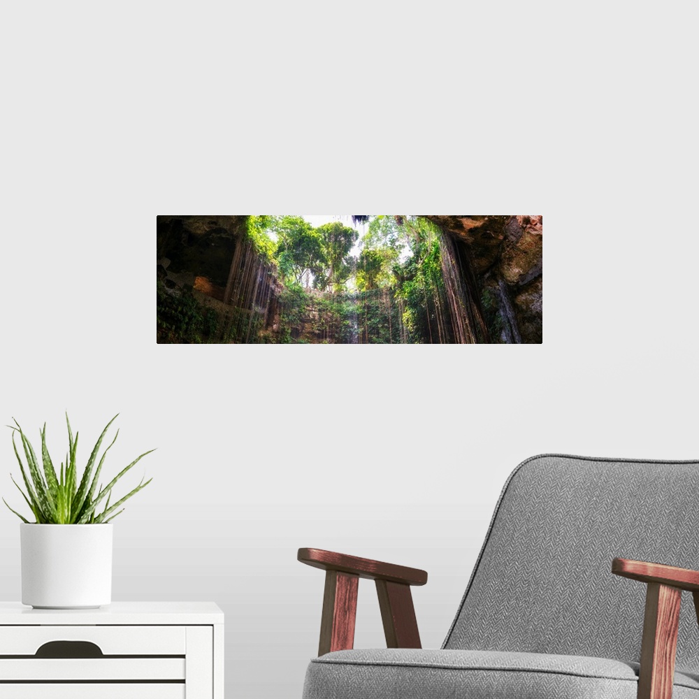 A modern room featuring Panoramic photograph of the view from the bottom up at Ik-Kil Cenote in Yucat?n, Mexico. From the...
