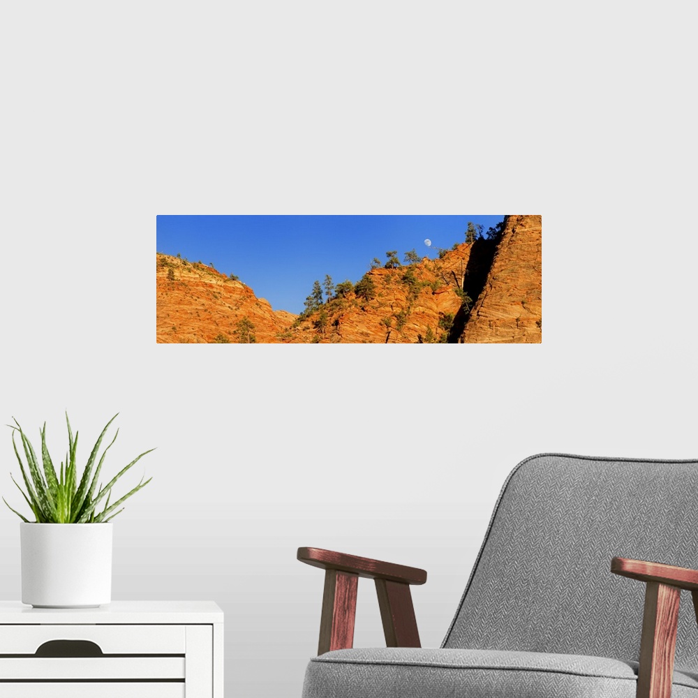 A modern room featuring The moon is visible over the edge of the orange cliffs in Zion National Park in Utah.
