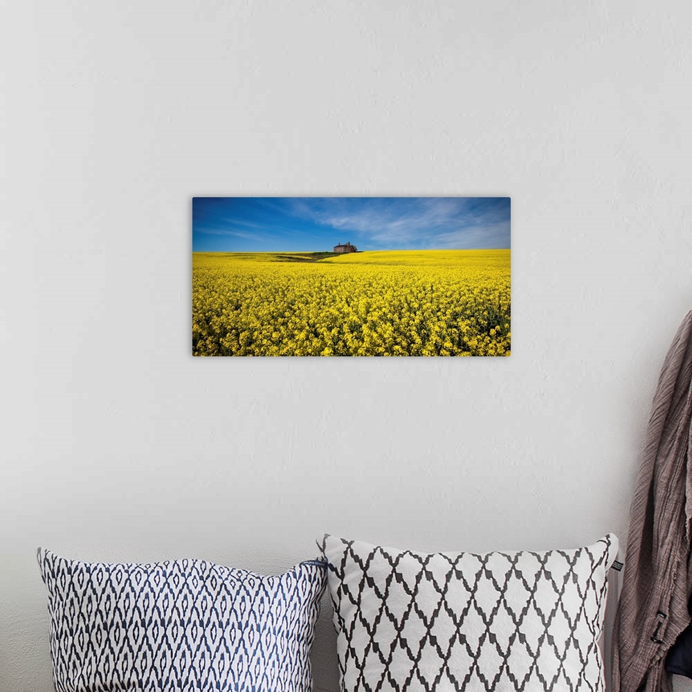 A bohemian room featuring The Canola Field