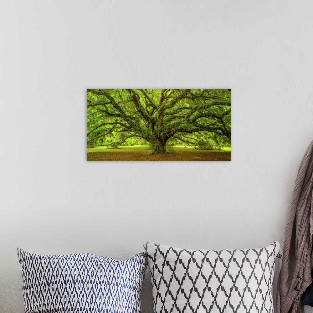 A bohemian room featuring An artistic photograph of a large old gnarled tree with bright green foliage and large limbs.