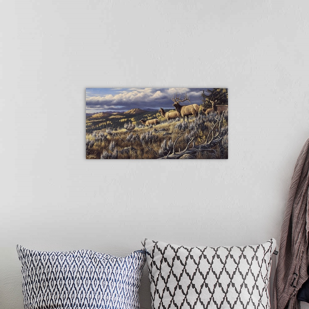 A bohemian room featuring Elk on mountain top.