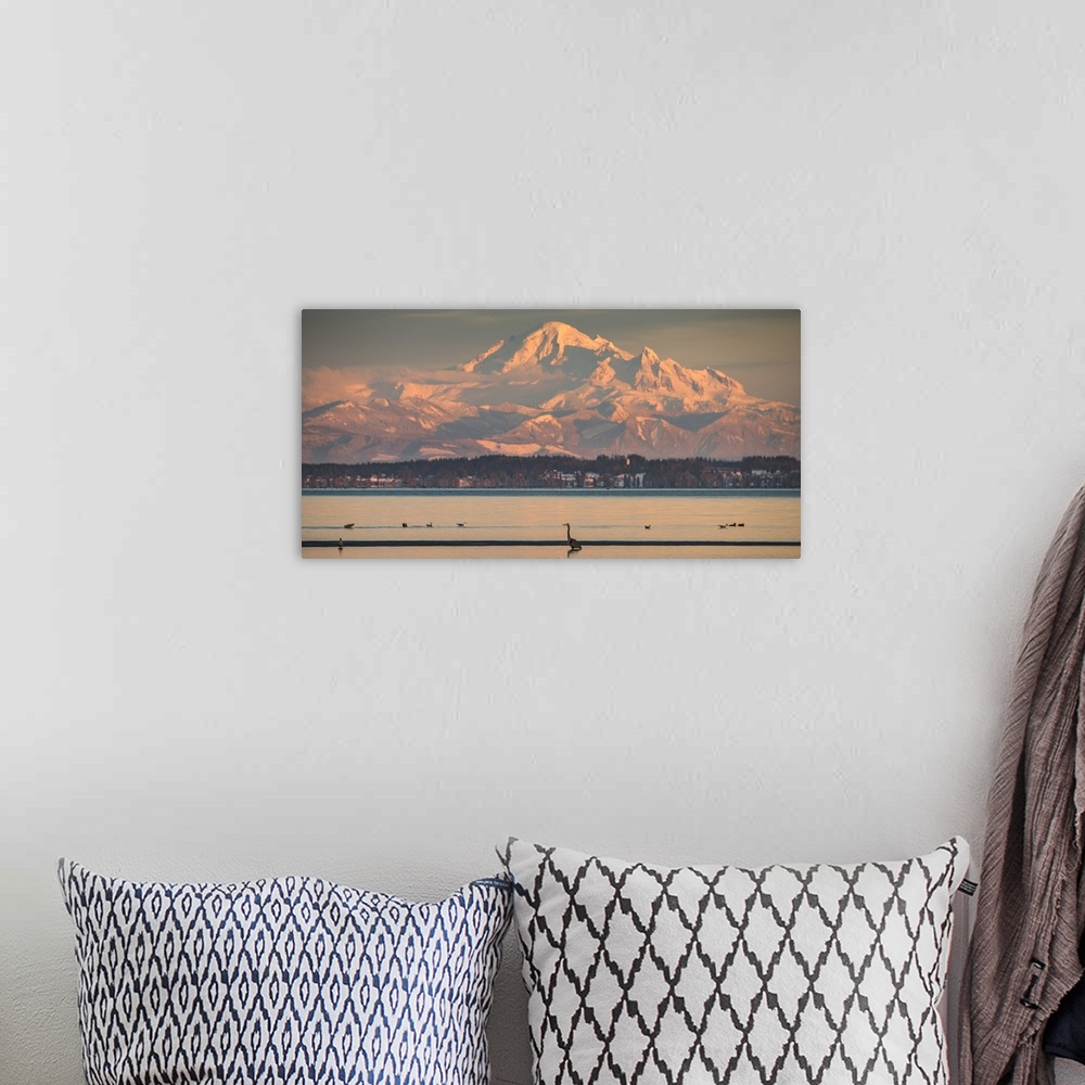 A bohemian room featuring Canada, British Columbia. Boundary Bay, Mount Baker and Great blue heron at sunset.