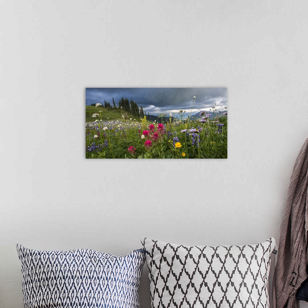 A bohemian room featuring USA, Washington State, Mount Rainier National Park. Wildflowers carpeting edge of Paradise hiking...