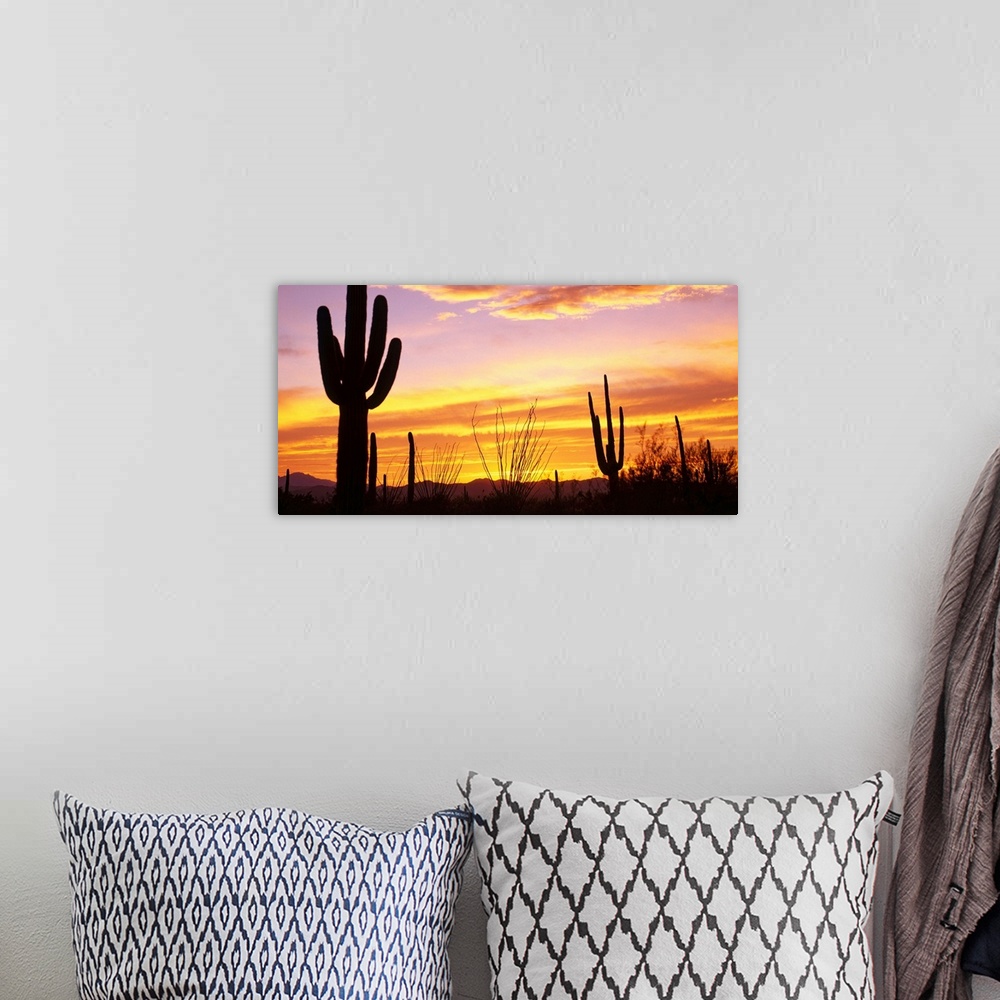 A bohemian room featuring Cacti silhouetted against the evening sky and clouds.