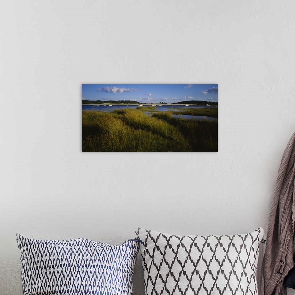 A bohemian room featuring This is a landscape photograph of sea grass growing in the marshes and wet lands around the harbor.