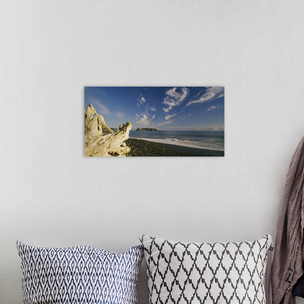 A bohemian room featuring Photograph of large piece of driftwood near coastline under a cloudy sky.