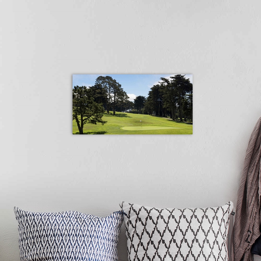 A bohemian room featuring Trees in a golf course, Presidio Golf Course, San Francisco, California
