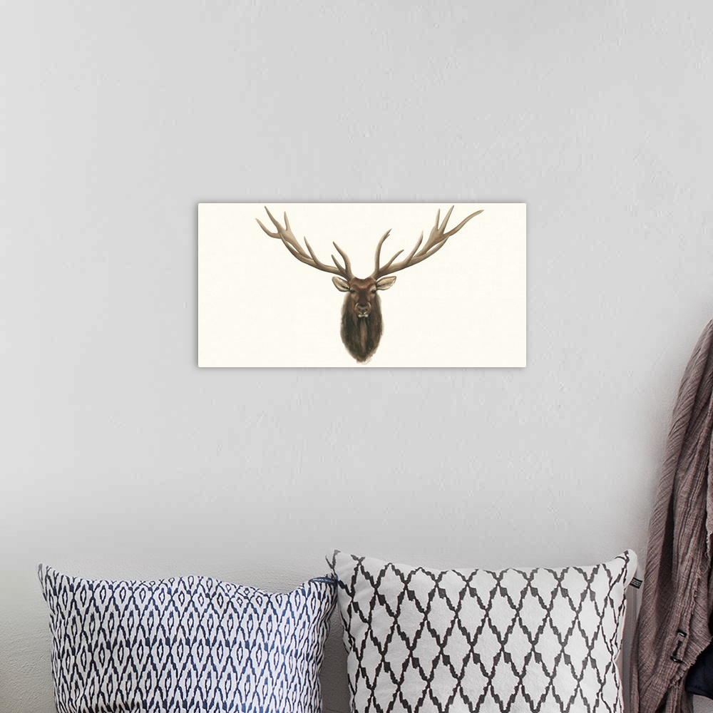 A bohemian room featuring Portrait of an elk with large antlers appearing to be hung on a wall like a hunting trophy.