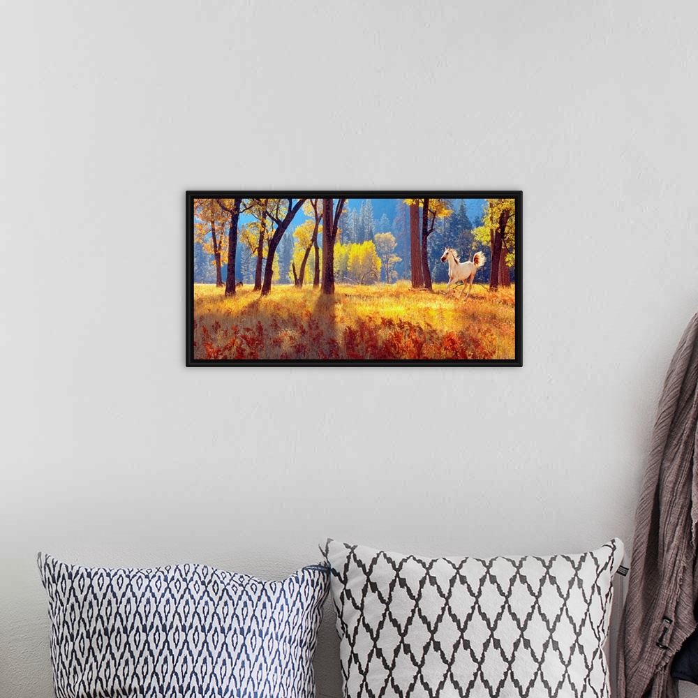 A bohemian room featuring Panoramic photograph shows a horse galloping through an open forest filled with trees and high gr...