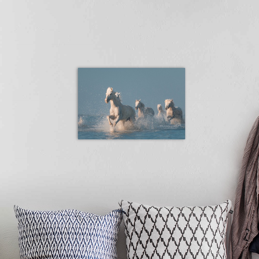 A bohemian room featuring The famous white horses of Camargue galloping through the ocean.