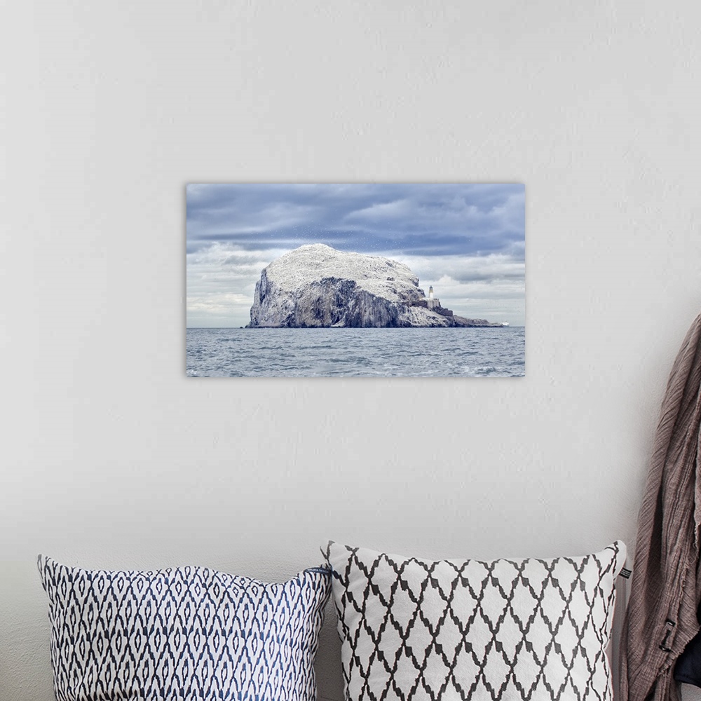 A bohemian room featuring Gannet colony at Bass Rock seabird sanctuary, situated in the Firth of Forth, three miles east of...