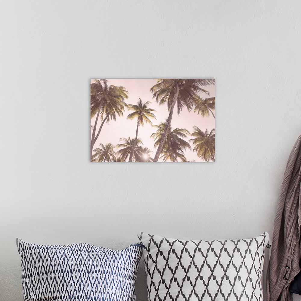 A bohemian room featuring Blush Palm Trees