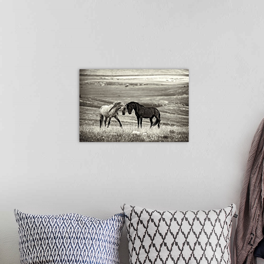 A bohemian room featuring A black and white photograph of two wild horses meeting face to face.