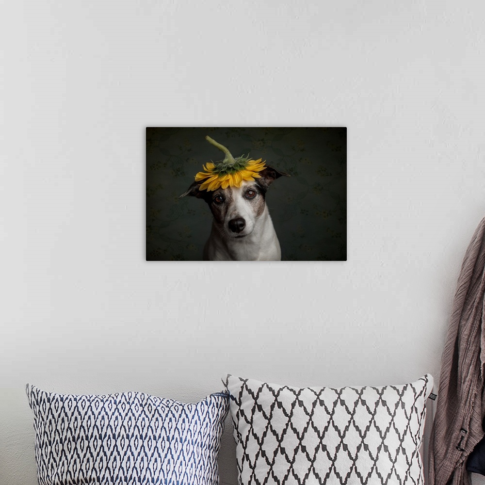 A bohemian room featuring Does She Realize She Looks Like A Sunflower
