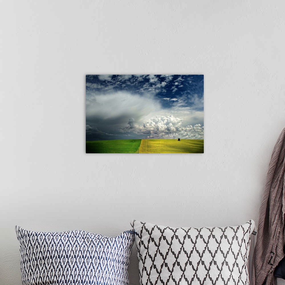 A bohemian room featuring A tiny tree in a yellow field with dramatic clouds in the blue sky above.