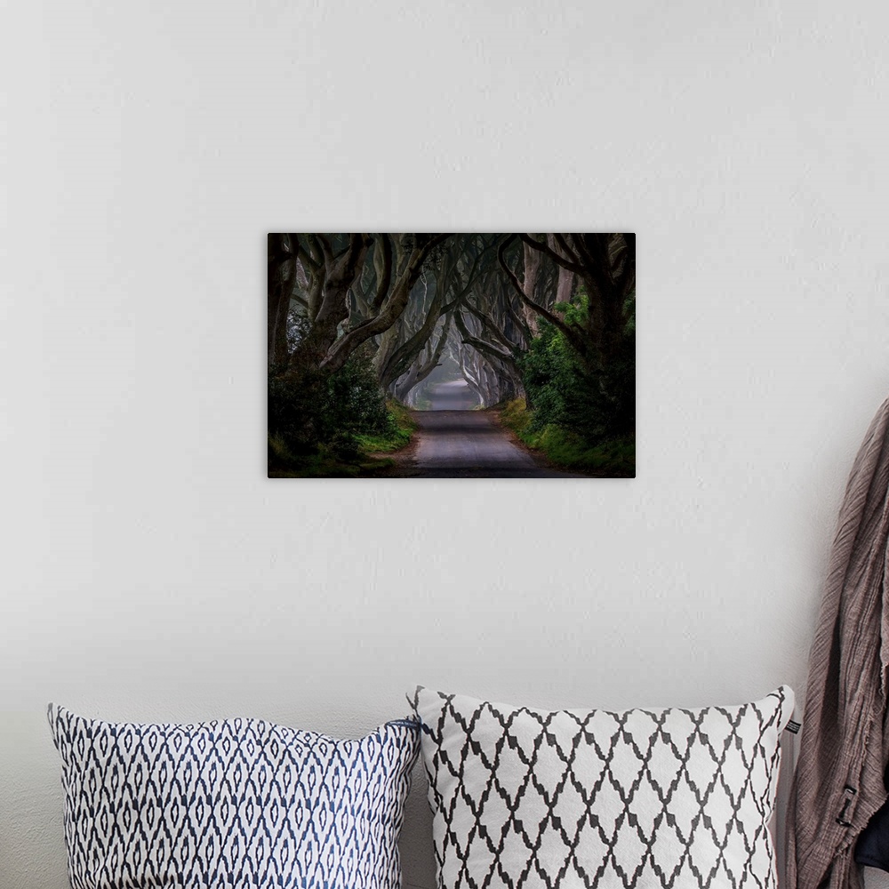 A bohemian room featuring Path through a dark and mysterious forest in Northern Ireland.