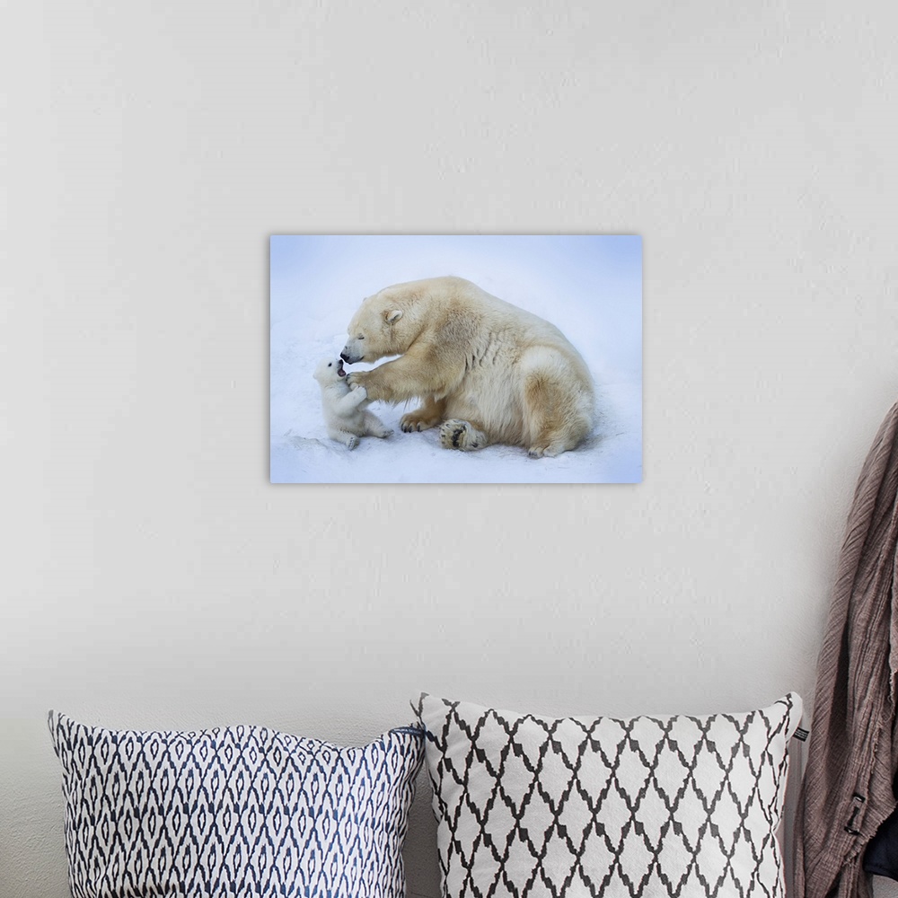 A bohemian room featuring Polar Bear With Mom