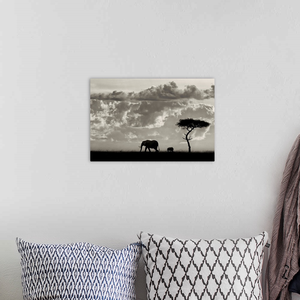 A bohemian room featuring An Elephant cow with her calf walk past an acacia tree against a bright dramatic African sky.