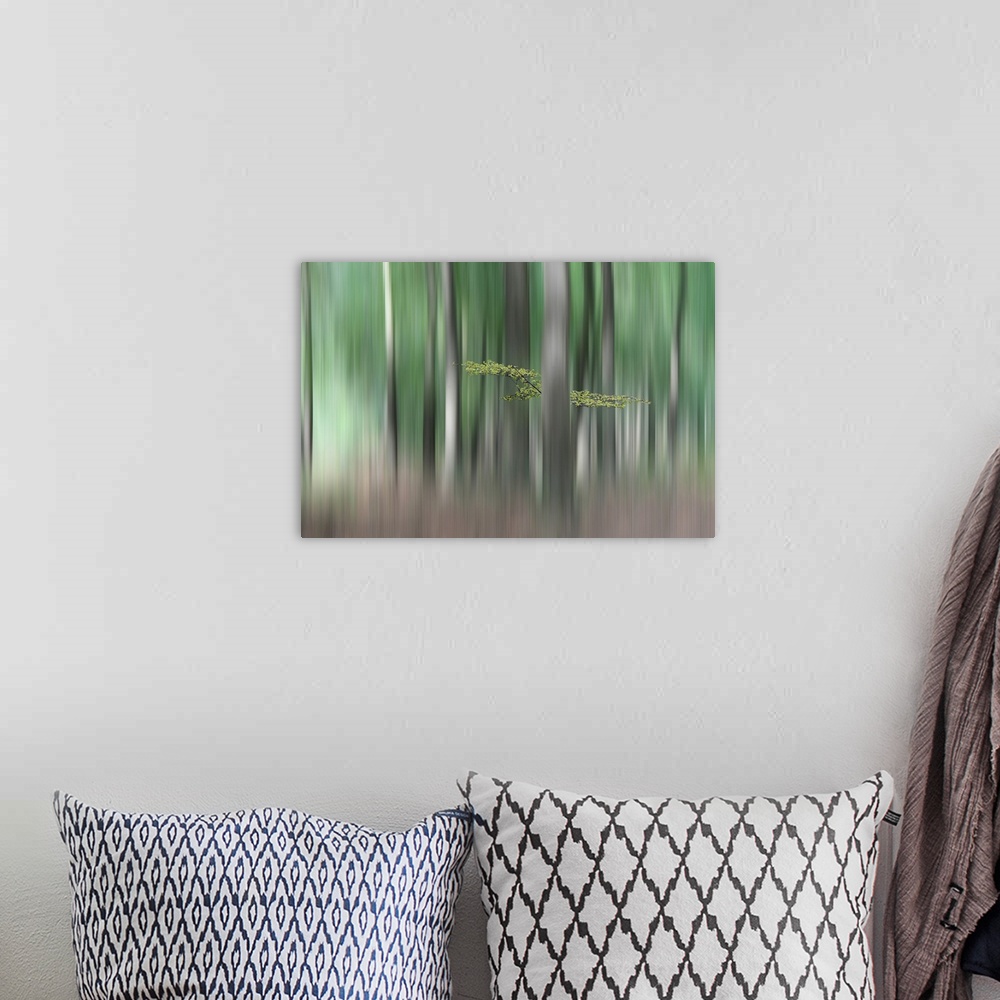 A bohemian room featuring Blurred motion image of a forest in the Netherlands.
