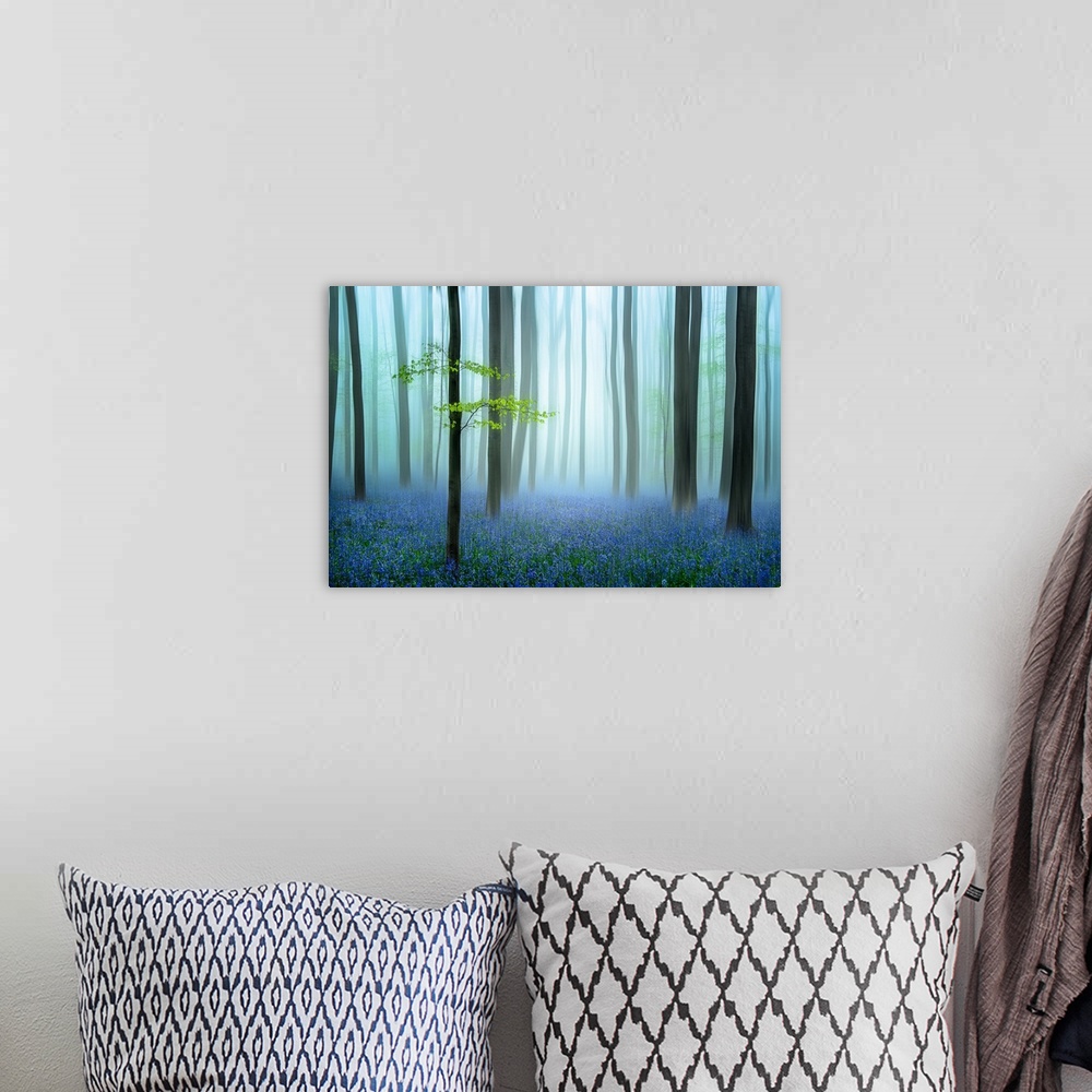 A bohemian room featuring The Blue Forest