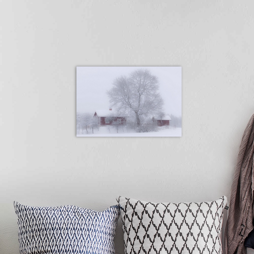 A bohemian room featuring A farmhouse and barn with a large tree after a heavy snowfall, Sweden.