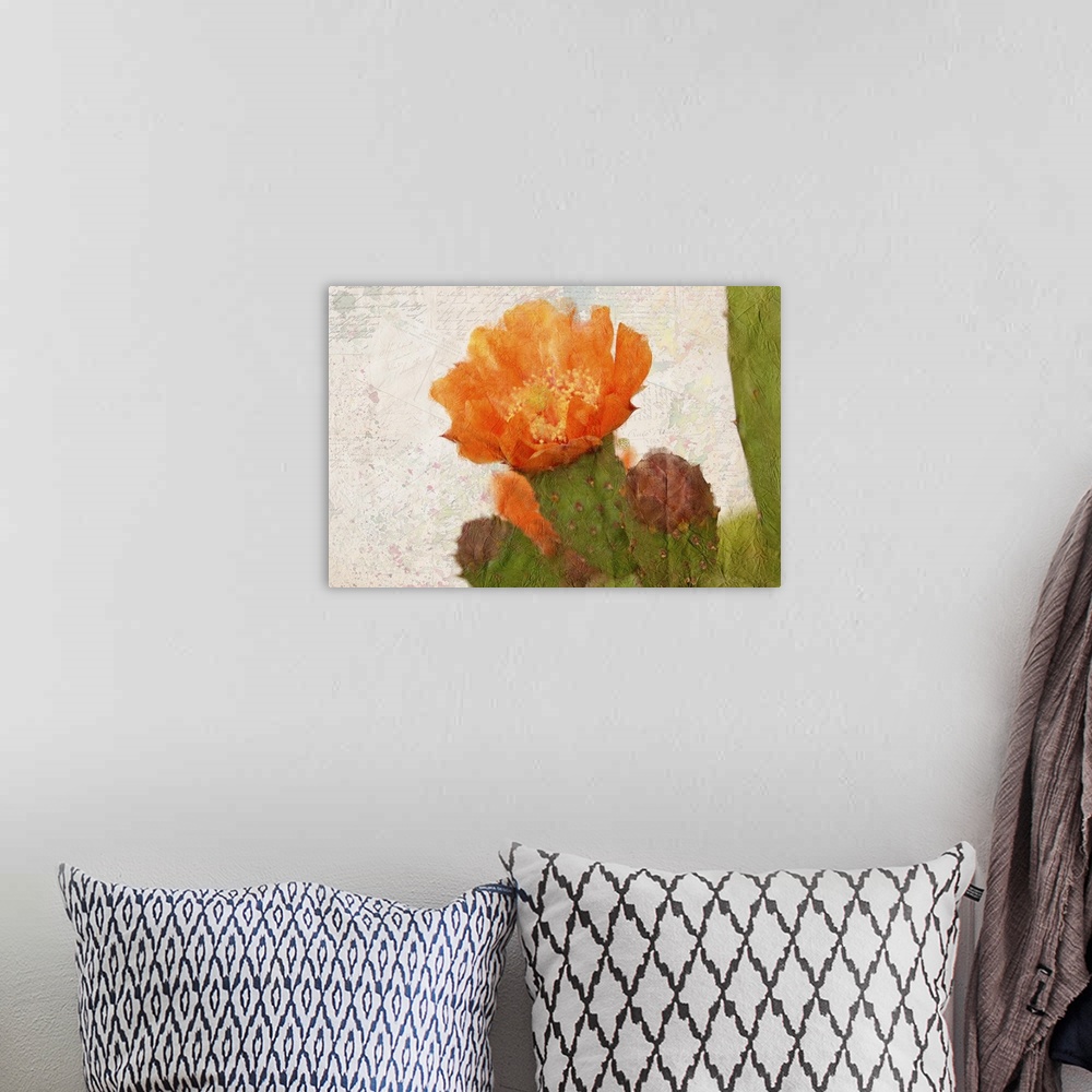 A bohemian room featuring A watercolor painting of an orange cactus flower on a collage of handwritten postcards and colorf...