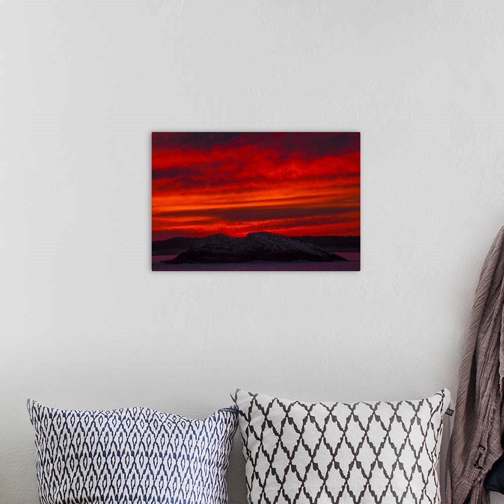 A bohemian room featuring A Blazing Red Sky At Sunset Silhouettes Hundreds Of Commorant Seabirds On A Rocky Island As Seen ...
