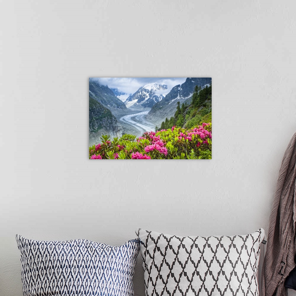 A bohemian room featuring Alpenrose (Rhododendron ferrugineum) flowers over Mer de Glacier and Grandes Jorasses, Alps, France