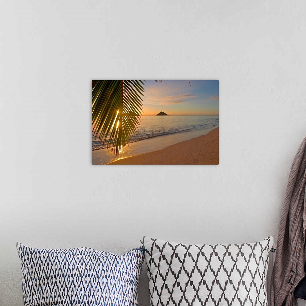 A bohemian room featuring Photograph of beach at dawn with mountain silhouettes in distance.  There is a single palm tree l...