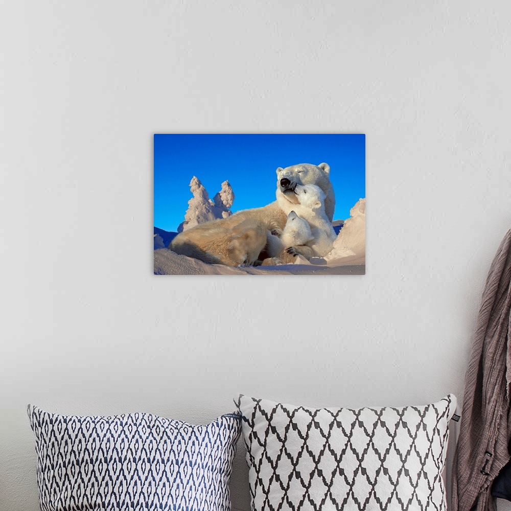 A bohemian room featuring An oversize piece that is a photograph of a polar bear with it's cubs while laying in the snow.
