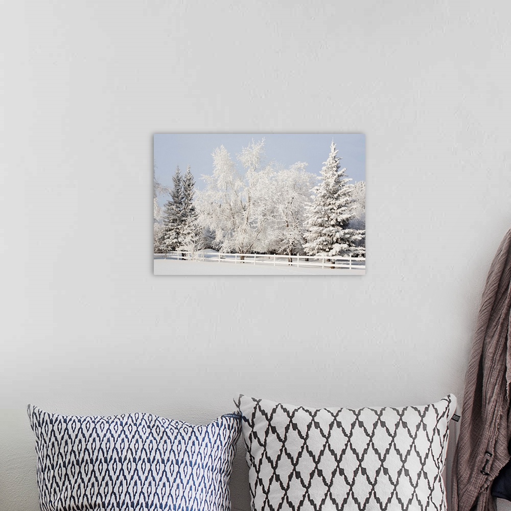 A bohemian room featuring A snowy scenic of a white fence and trees coated in white snow against a wintery sky