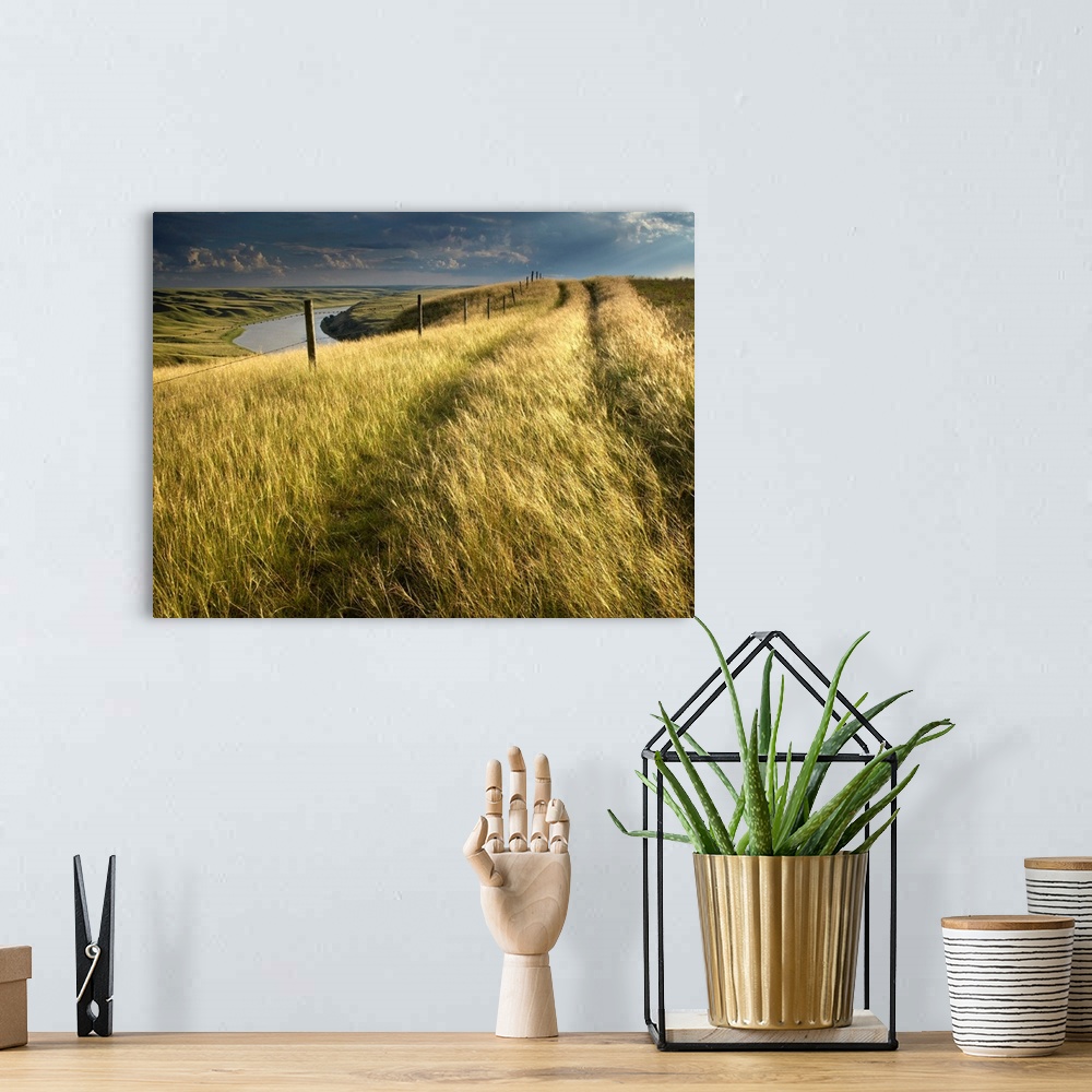 A bohemian room featuring Vehicle Tracks Across Field And Red Deer River, Alberta, Canada